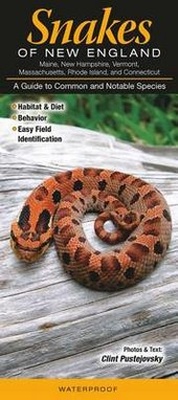 Enlarge image Cover: Snakes of New England CT, Me, Ma, NH, Ri, VT - Quick Reference Publishing, Inc