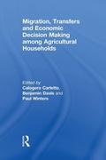 Cover: Migration, Transfers and Economic Decision Making among Agricultural Households - Routledge