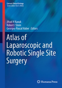 Abbildung von: Atlas of Laparoscopic and Robotic Single Site Surgery - Humana Press Inc.