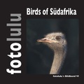 Cover: Birds of S&uuml;dafrika - Books on Demand