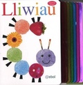 Cover: Cyfres Alphaprint: Lliwiau - Atebol