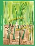Cover: Ein Regentropfen voller Gl&uuml;ck - Brighton Verlag GmbH