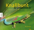 Cover: Knallbunt und unsichtbar - Knesebeck
