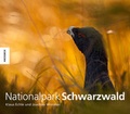 Cover: Nationalpark Schwarzwald - Knesebeck