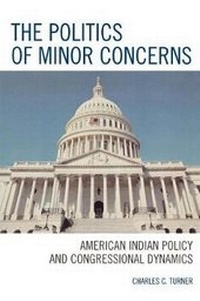 Enlarge image Cover: The Politics of Minor Concerns - University Press of America