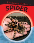 Cover: Spider - Franklin Watts Ltd