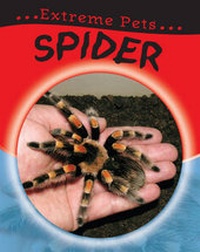 Enlarge image Cover: Spider - Franklin Watts Ltd