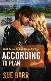 Enlarge image Cover: According to Plan - Sue Barr