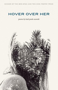 Enlarge image Cover: Hover Over Her - Kent State University Press