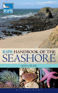 Abbildung von: RSPB Handbook of the Seashore - Bloomsbury Natural History