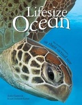 Cover: Lifesize Ocean - Kingfisher Books Ltd