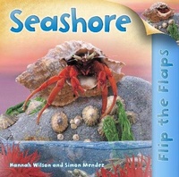 Enlarge image Cover: Flip the Flaps: Seashore - Kingfisher Books Ltd