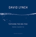 Cover: Catching the Big Fish - Alexander