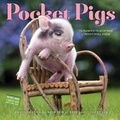 Cover: Pocket Pigs Wall Calendar 2017 - Algonquin Books