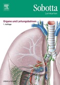 Cover: Sobotta Lernkarten Organe und Leitungsbahnen - Urban & Fischer
