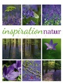 Bild: Inspiration Natur 2017 - Ackermann Kunstverlag