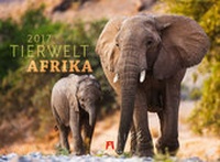 Abbildung von: Tierwelt Afrika 2017 - Ackermann Kunstverlag