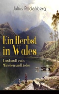 Cover: Ein Herbst in Wales - Land und Leute, M&auml;rchen und Lieder - e-artnow