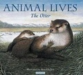 Cover: The Otter - Kingfisher