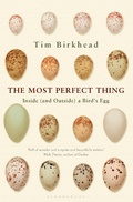 Cover: The Most Perfect Thing - Bloomsbury Publishing PLC