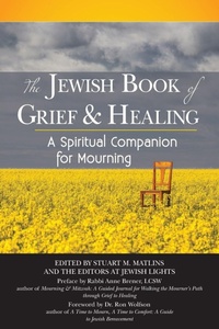 Enlarge image Cover: The Jewish Book of Grief & Healing - Jewish Lights Publishing