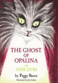 Cover: The Ghost of Opalina - GRAYMALKIN MEDIA