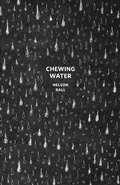 Cover: Chewing Water - Stuart Ross Book