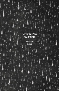 Enlarge image Cover: Chewing Water - Stuart Ross Book