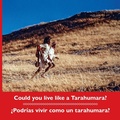 Cover: Could you live like a Tarahumara? ?Podrias vivir como un tarahumara? Bilingual Spanish and English - Barranca Press