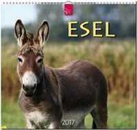 Abbildung von: ESEL - Stürtz