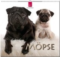 Cover: M&ouml;pse 2017 - St&uuml;rtz
