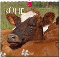 Abbildung von: KÜHE - Stürtz