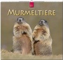 Cover: Murmeltiere 2017 - Stürtz