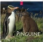 Cover: PINGUINE - Stürtz