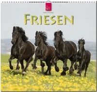 Abbildung von: FRIESEN - Stürtz