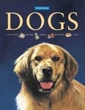 Cover: Dogs - Kingfisher