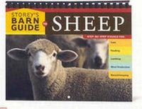Abbildung von: Storeys Barn Guide Sheep - Storey Books