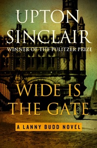 Enlarge image Cover: Wide Is the Gate - Open Road Media