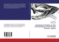 Abbildung von: Anatomical Studies on the Cranial Nerves of the Snake Coluber rogersi - LAP Lambert Academic Publishing