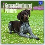 Bild: German Shorthaired Pointers - Deutsch Kurzhaar 2017 - 18-Monatskalender mit freier DogDays-App - Brown Trout-Auslieferer Flechsig