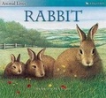 Cover: Rabbit - Kingfisher