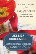 Cover: Something Worth Landing For - HarperCollins