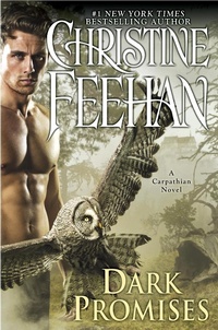 Enlarge image Cover: Dark Promises - Berkley