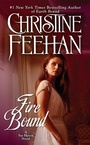 Cover: Fire Bound - Berkley