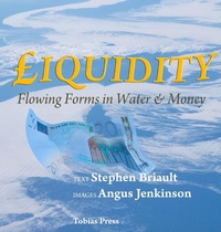 Enlarge image Cover: Liquidity - Tobias Press