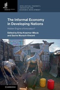 Cover: The Informal Economy in Developing Nations - Cambridge University Press