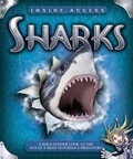 Cover: Sharks - Kingfisher