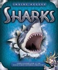Enlarge image Cover: Sharks - Kingfisher