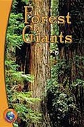 Cover: Forest Giants - Rigby
