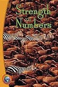 Cover: Strength in Numbers - Rigby